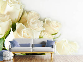 photo-wallpaper-white-roses