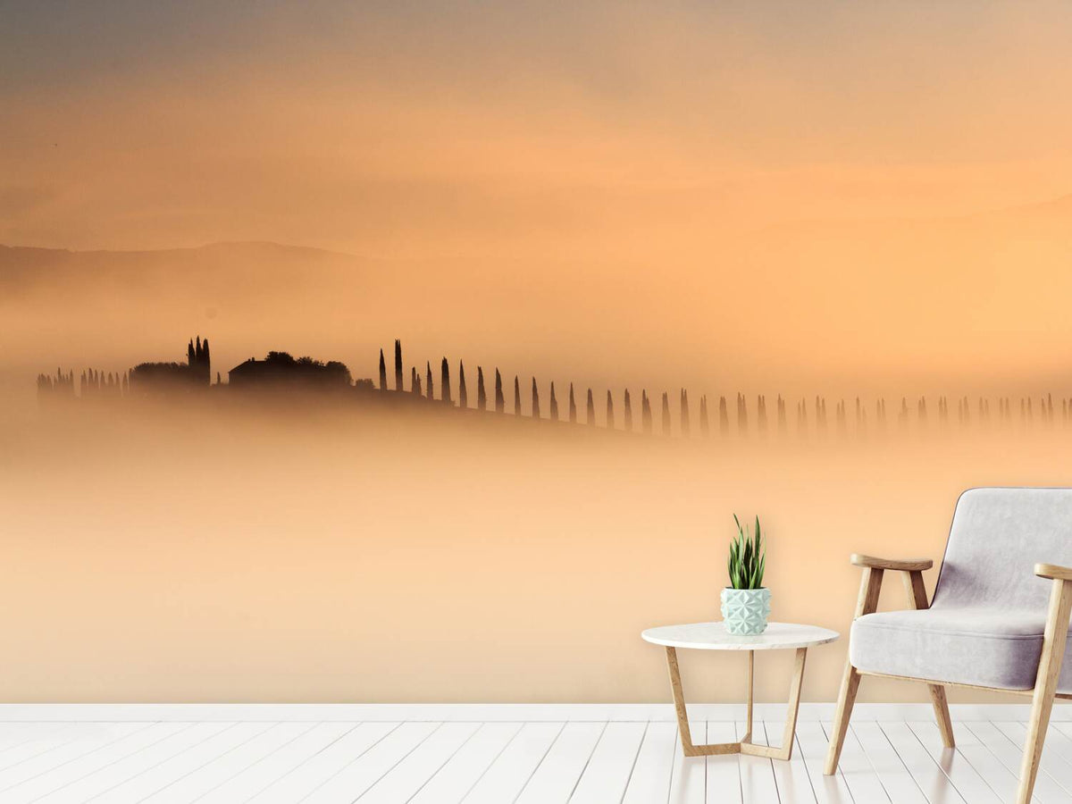 photo-wallpaper-foggy-sunrise-xam