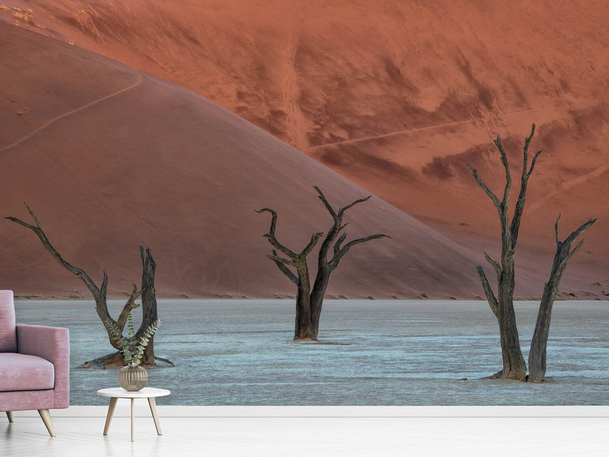 photo-wallpaper-deadvlei-xof