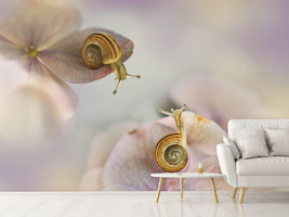 photo-wallpaper-little-snails-x