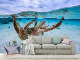 photo-wallpaper-octopus-ii