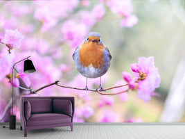 photo-wallpaper-spring-bird