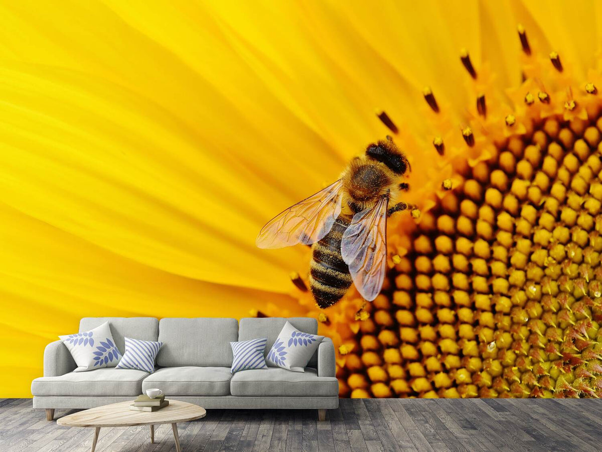 photo-wallpaper-bee-on-the-sunflower