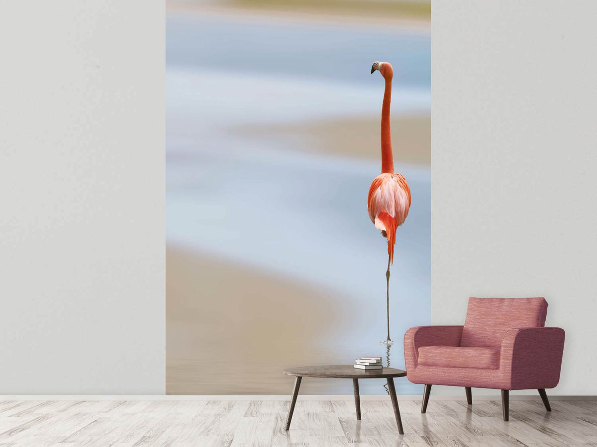 photo-wallpaper-red-flamingo