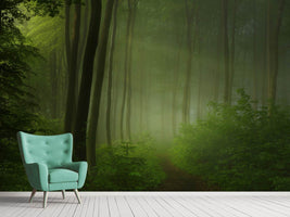 photo-wallpaper-forest-morning