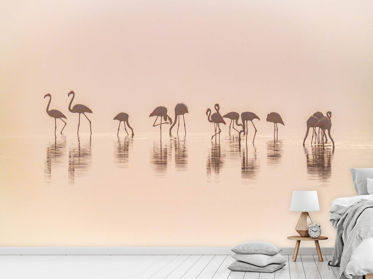 photo-wallpaper-flamingos-in-the-mist-x