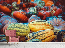 photo-wallpaper-pumpkin-types