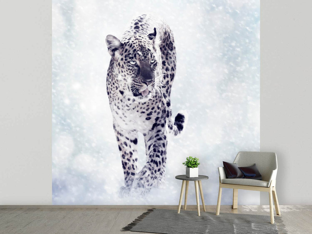 photo-wallpaper-photo-wallaper-the-leopard