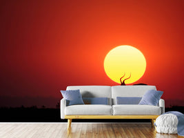 photo-wallpaper-an-african-sunset-x