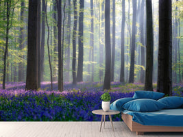 photo-wallpaper-bluebells