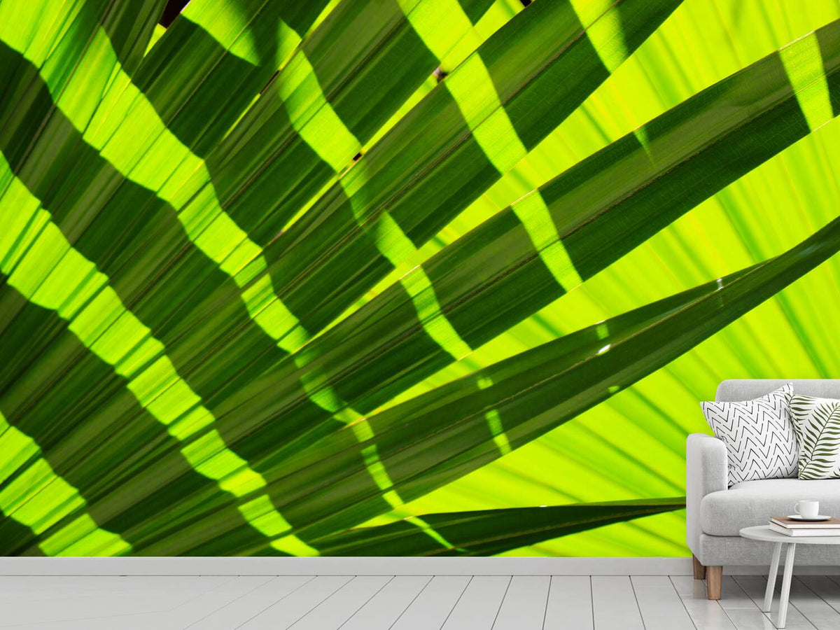 photo-wallpaper-the-palm-leaf-in-xl