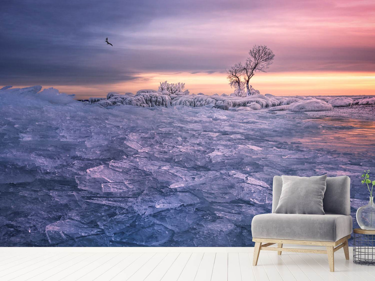 photo-wallpaper-winter-wonderland-x