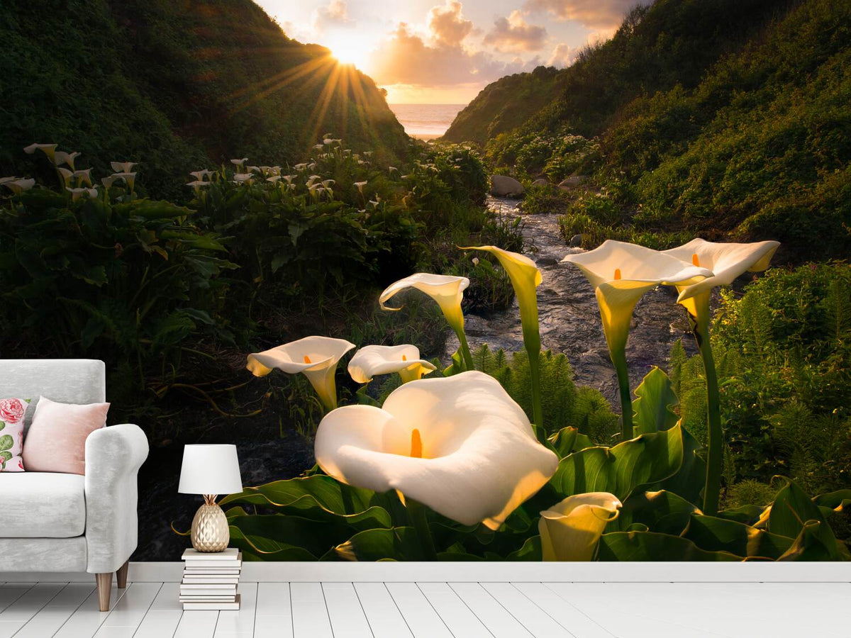 photo-wallpaper-calla-lily-world-x