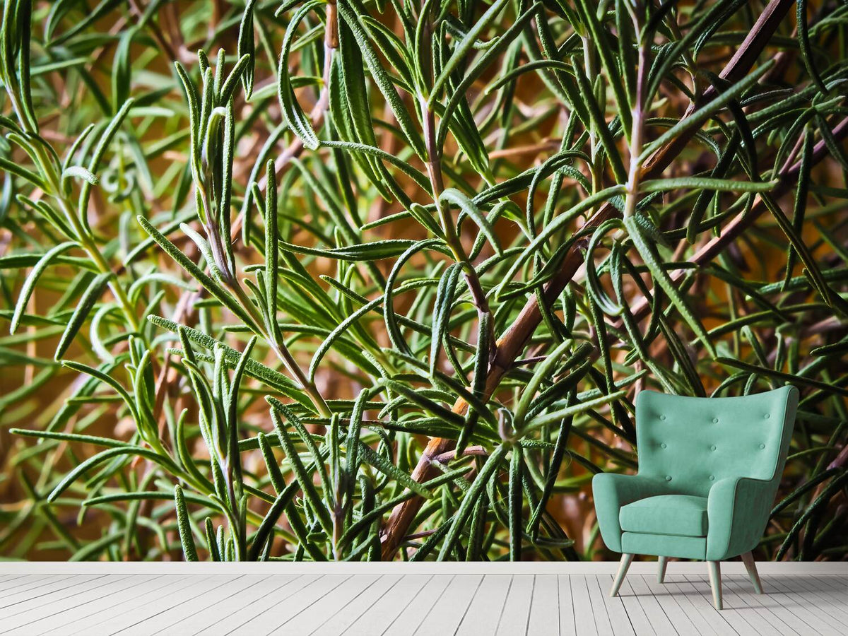 photo-wallpaper-rosemary-xxl