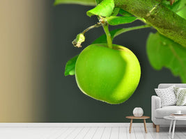 photo-wallpaper-green-apple