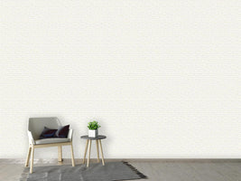 patterned-wallpaper-scale-skin-white