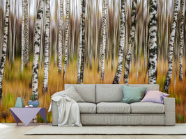 photo-wallpaper-3d-birches-x