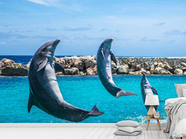 photo-wallpaper-3-dolphins