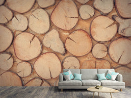 photo-wallpaper-wall-trees